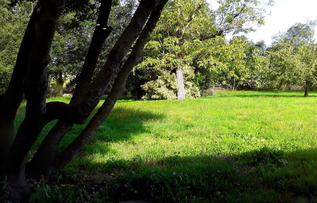 Noyal-Muzillac Domaine De La Tranquillite Vヴィラ エクステリア 写真